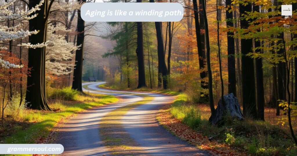 Aging is like a winding path.