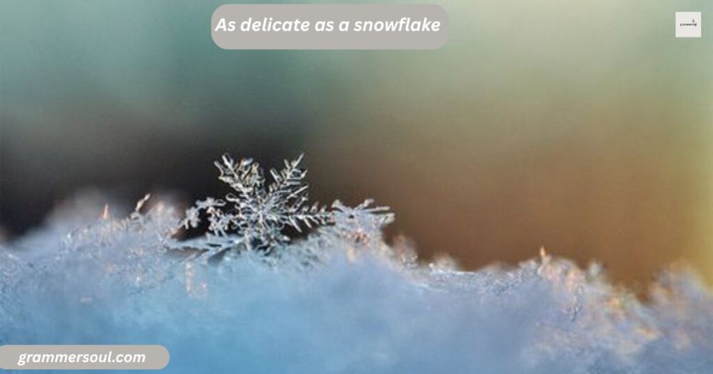  As delicate as a snowflake