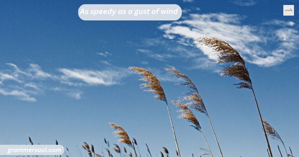 As speedy as a gust of wind