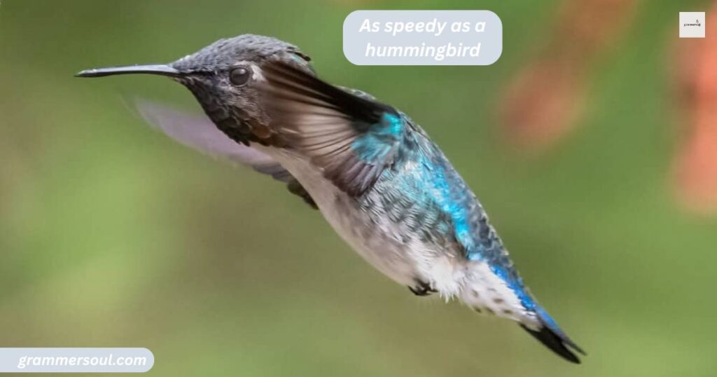 As speedy as a hummingbird