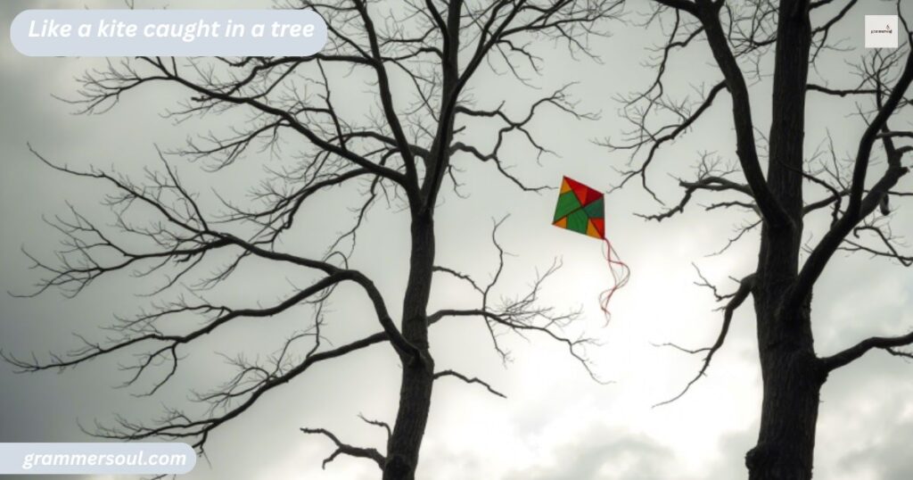 Like a kite caught in a tree