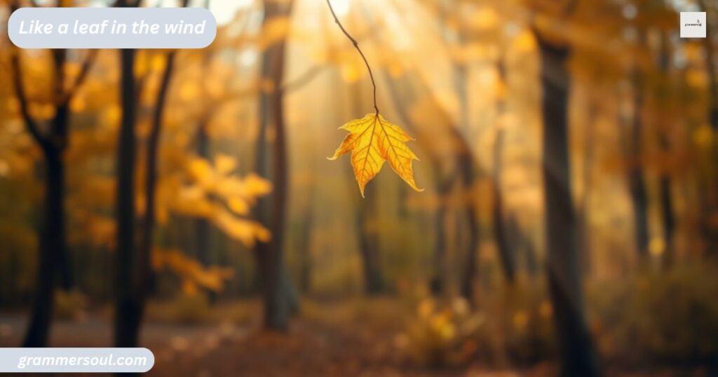 Like a leaf in the wind