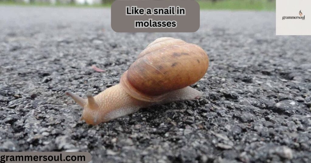 Like a snail in molasses