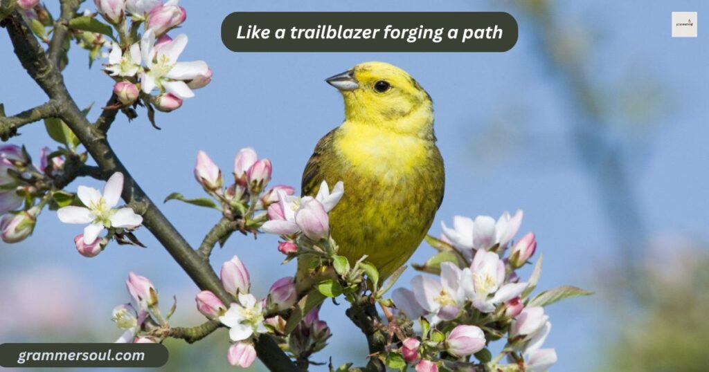 Like a trailblazer forging a path