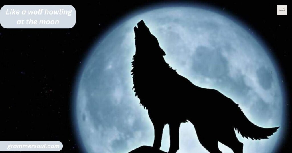 Like a wolf howling at the moon